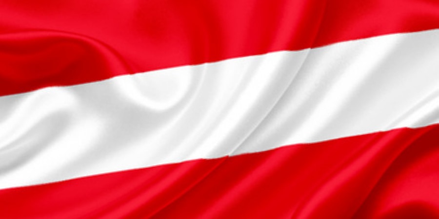 Organschaft Österreich gründen, Steuern reduzieren